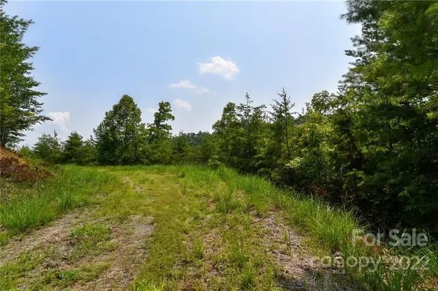 $27,500 | Lot 11 The Vines Boulevard, Unit LOT 11, Marshall, NC 28753