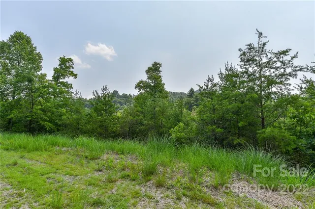 $27,500 | Lot 11 The Vines Boulevard, Unit LOT 11, Marshall, NC 28753