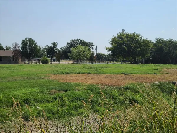 a view of a grassy field with trees