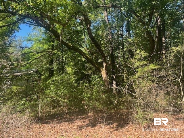 42507 Amelia Road Bay Minette, AL 36507 - Photo 1 of 2