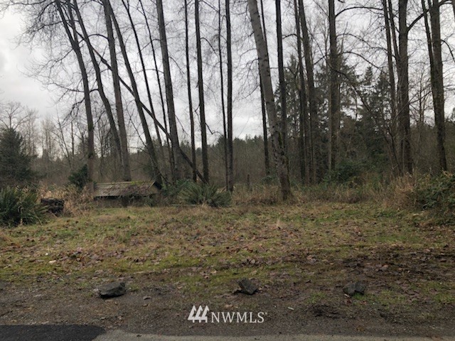 26-xx Callow Road Lake Stevens, WA 98258 - Photo 6 of 9 Gallery Image 6
