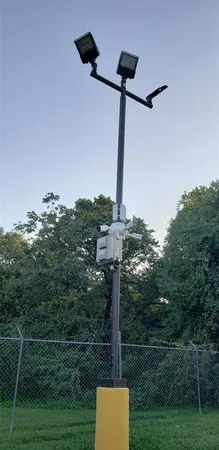 a view of a park with a tree