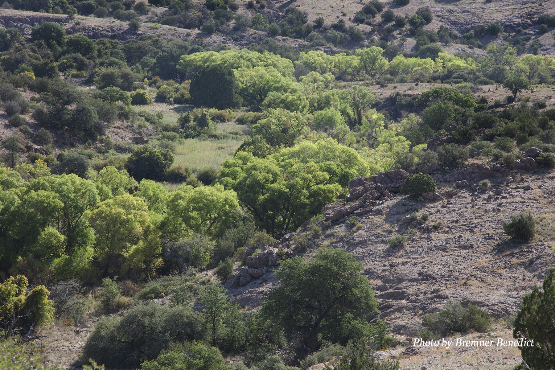 Pitchfork Pitchfork Ranch Silver City, NM 88061 - Photo 47 of 56