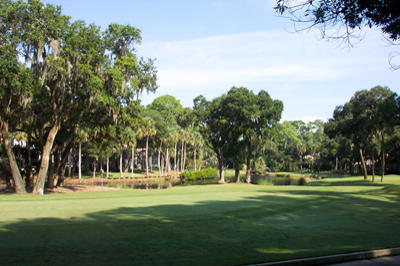 2591 High Hammock Road Seabrook Island, SC 29455 - Photo 4 of 9 2591HighHammock_View