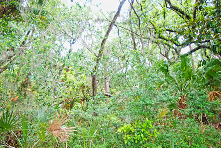 2591 High Hammock Road Seabrook Island, SC 29455 - Photo 6 of 9 MLS2 - 17015800