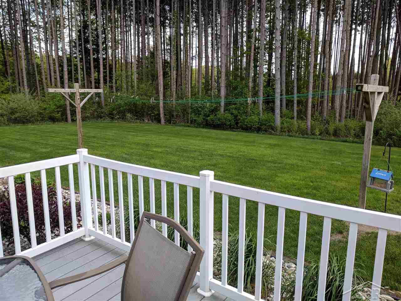 15285 Grabowski Road St. Charles, MI 48655 - Photo 70 of 75 31342473-70.JPG
