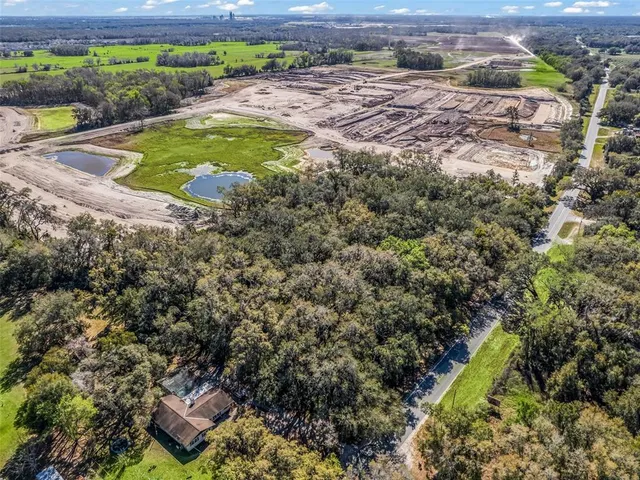 a view of a backyard with plants