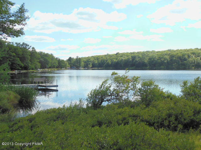 31-32 Dory's Road Dingmans Ferry, PA 18328 - Photo 2 of 9 blue heron lot 009