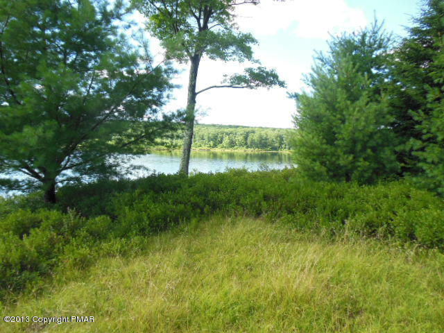 31-32 Dory's Road Dingmans Ferry, PA 18328 - Photo 5 of 9 blue heron lot 007