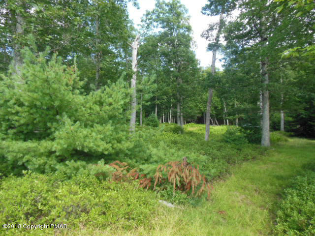 31-32 Dory's Road Dingmans Ferry, PA 18328 - Photo 6 of 9 blue heron lot 008