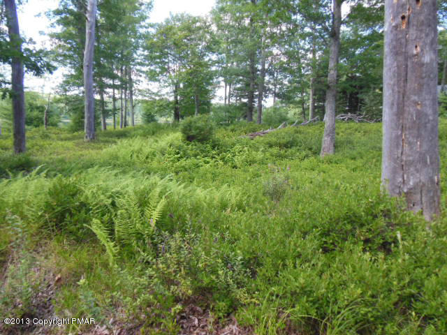 31-32 Dory's Road Dingmans Ferry, PA 18328 - Photo 8 of 9 blue heron lot 003