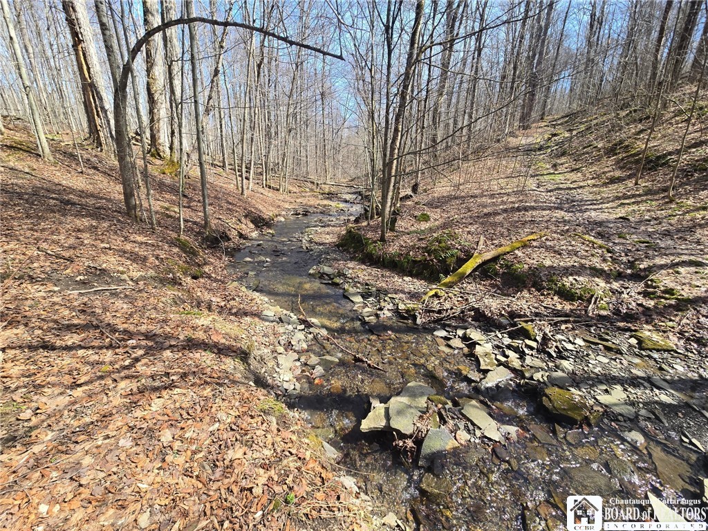 0 West Cobb Road Falconer, NY 14733 - Photo 14 of 49
