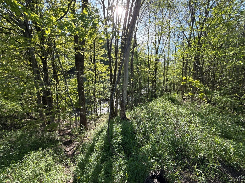 241 Jerry Look Road Orwell, NY 13144 - Photo 36 of 39