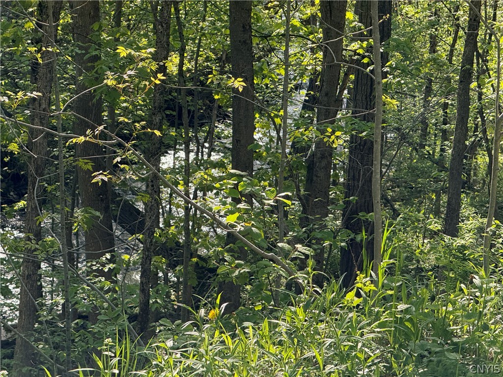 241 Jerry Look Road Orwell, NY 13144 - Photo 37 of 39