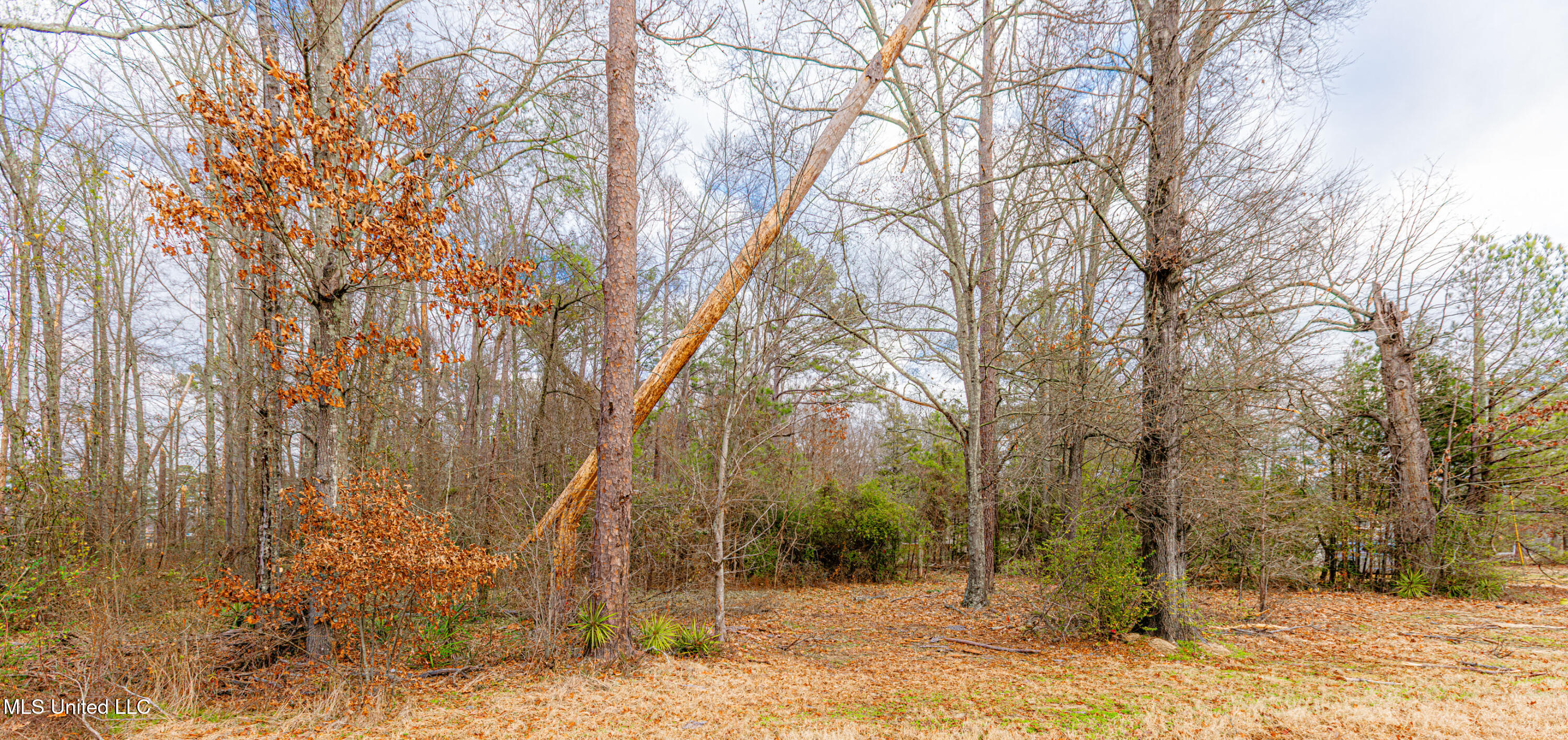 0 Flowood Drive Flowood, MS 39232 - Photo 2 of 7 1R4A8672-Enhanced-NR