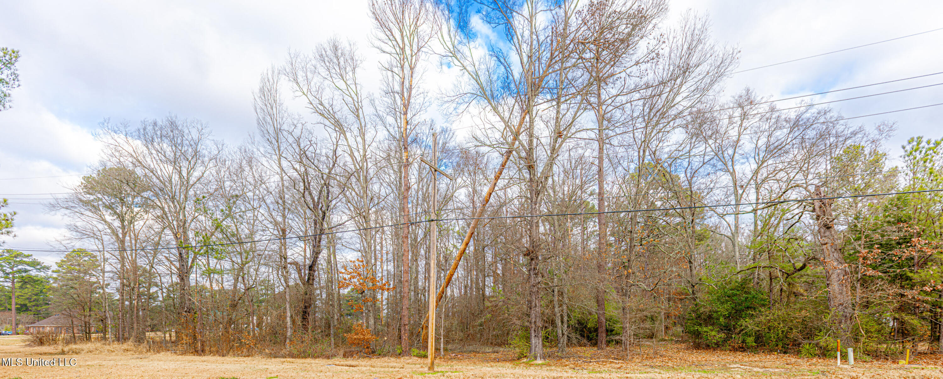 0 Flowood Drive Flowood, MS 39232 - Photo 6 of 7 1R4A8673-Enhanced-NR