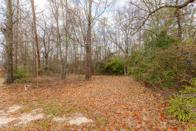 $175,000 | 0 Flowood Drive, Flowood, MS 39232