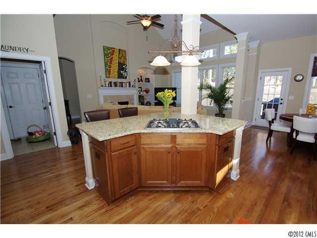 3364 Richard's Crossing Fort Mill, SC 29708 - Photo 7 of 16
