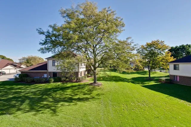 a view of a yard with plants and trees