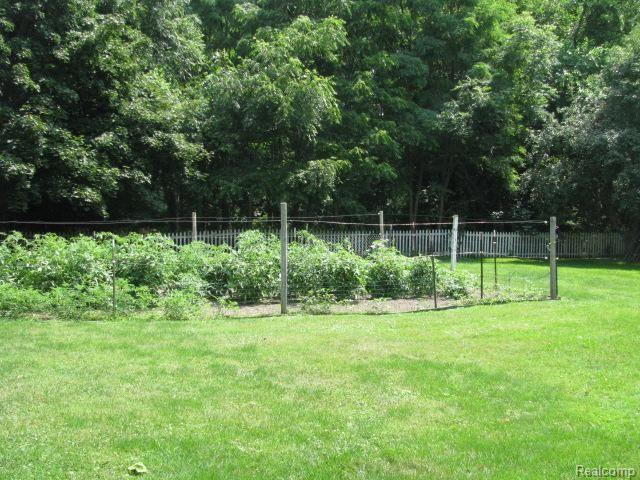 315 Benjamin Street Romeo, MI 48065 - Photo 47 of 54 #47 View of the Yard from the Patio.jpg
