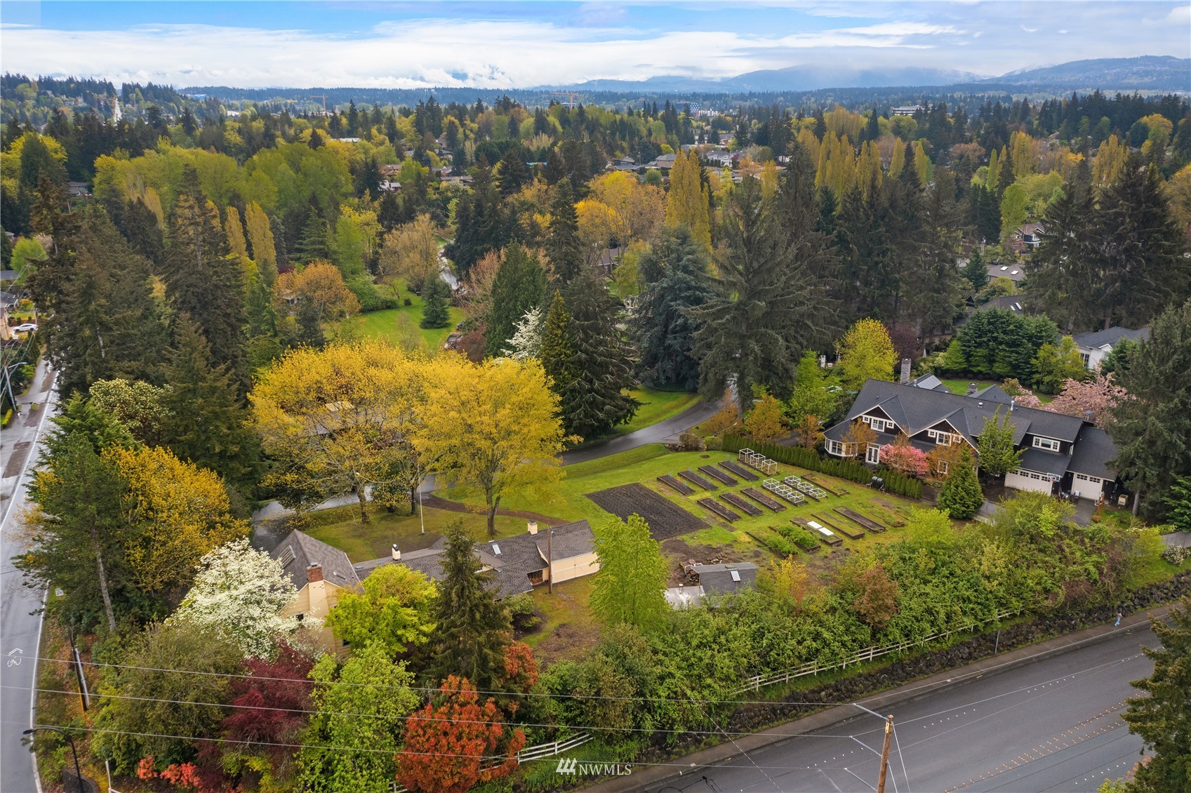 1 Diamond Ranch South Bellevue, WA 98004 - Photo 6 of 25 Gallery Image 6