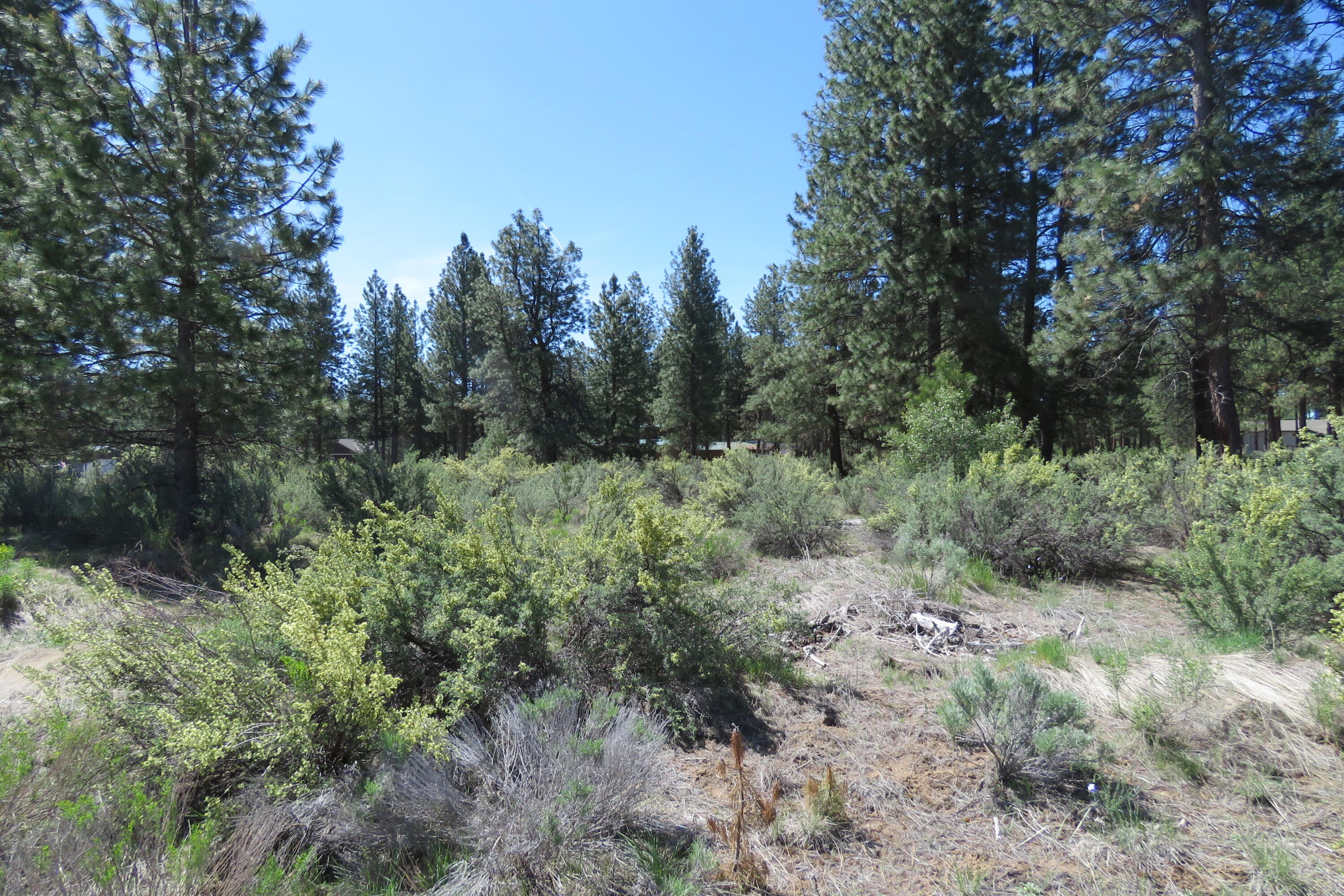 Castle Drive Chiloquin, OR 97624 - Photo 4 of 12 IMG_4563
