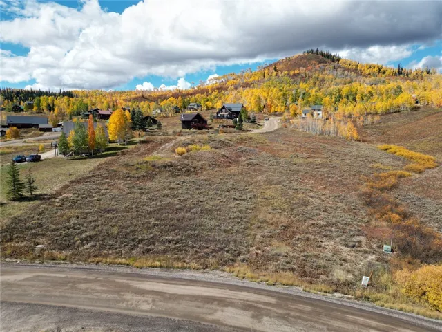 a view of tall trees