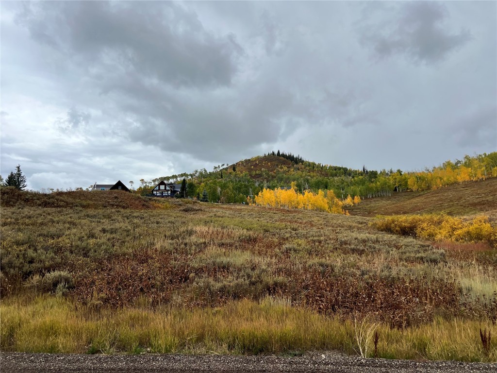 27060 Neptune Place Clark, CO 80428 - Photo 3 of 10 Street View