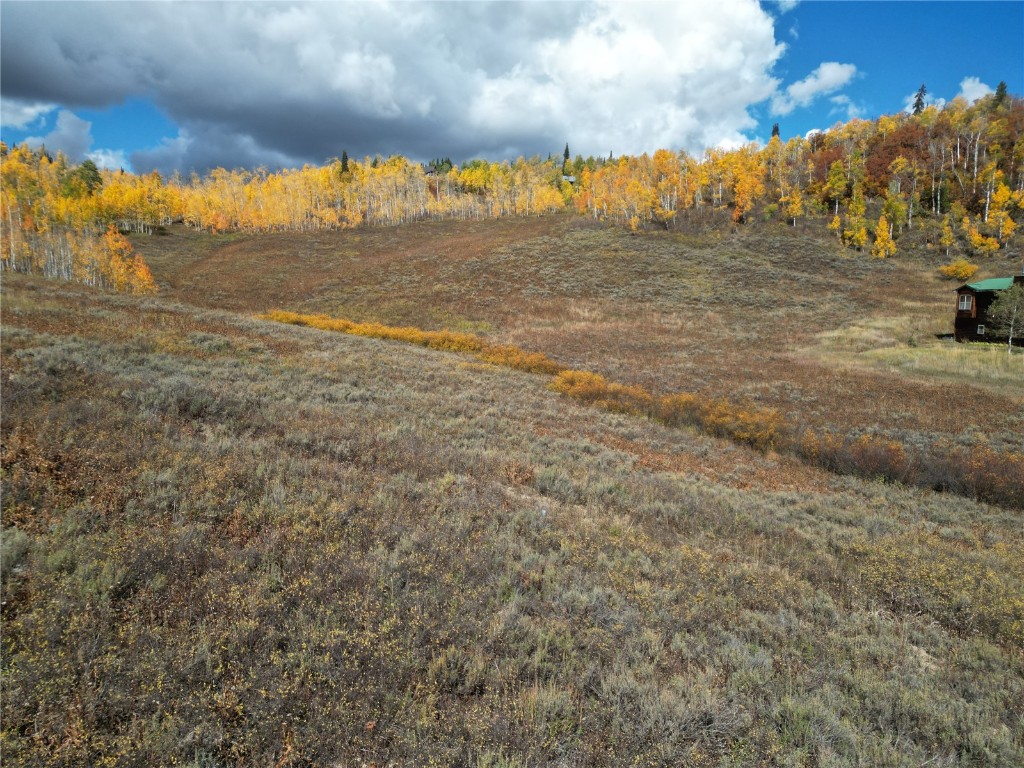 27060 Neptune Place Clark, CO 80428 - Photo 9 of 10 Standing on lot looking North