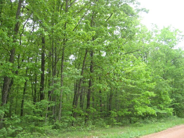 12.4 Mt View Road Rosholt, WI 54473 - Photo 1 of 1