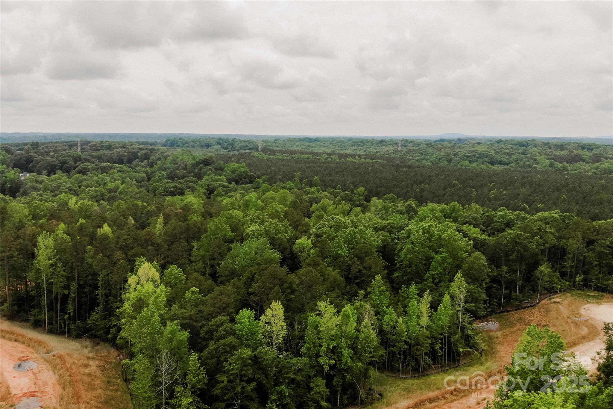 Lot 36 Snow Goose Walk Clover, SC 29710 - Photo 12 of 14 a view of a city with lush green forest
