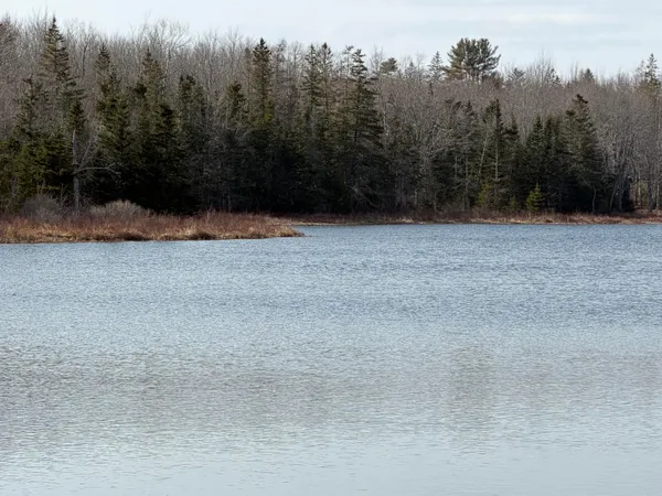 $141,000 | 25 C Guzzle Road, Gouldsboro, ME 04607