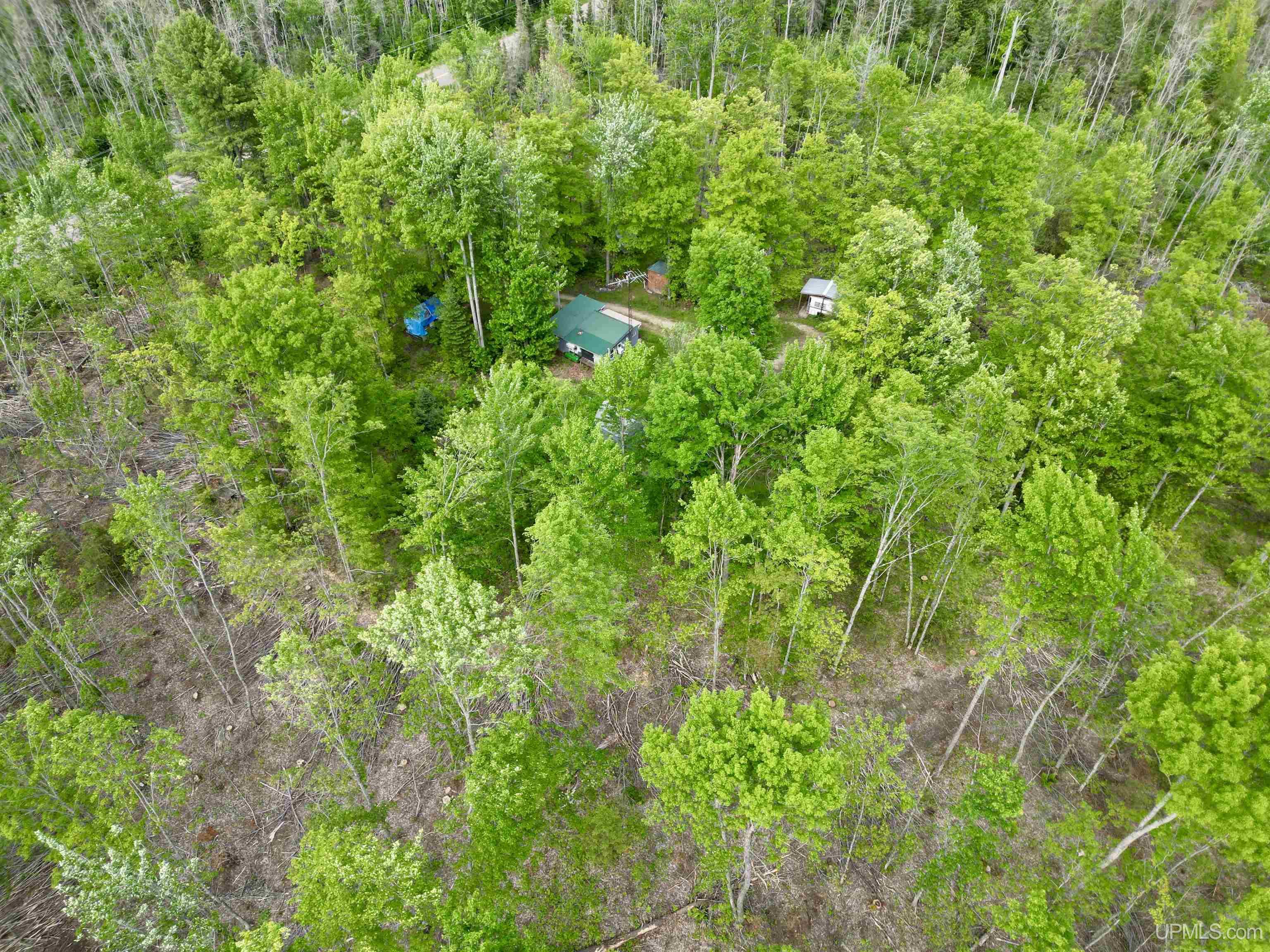 3601 Cr444 Road Rock, MI 49880 - Photo 61 of 78