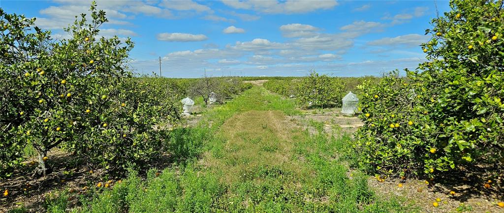 T S Wilson Road Frostproof, FL 33843 - Photo 2 of 4 Gallery Image 2