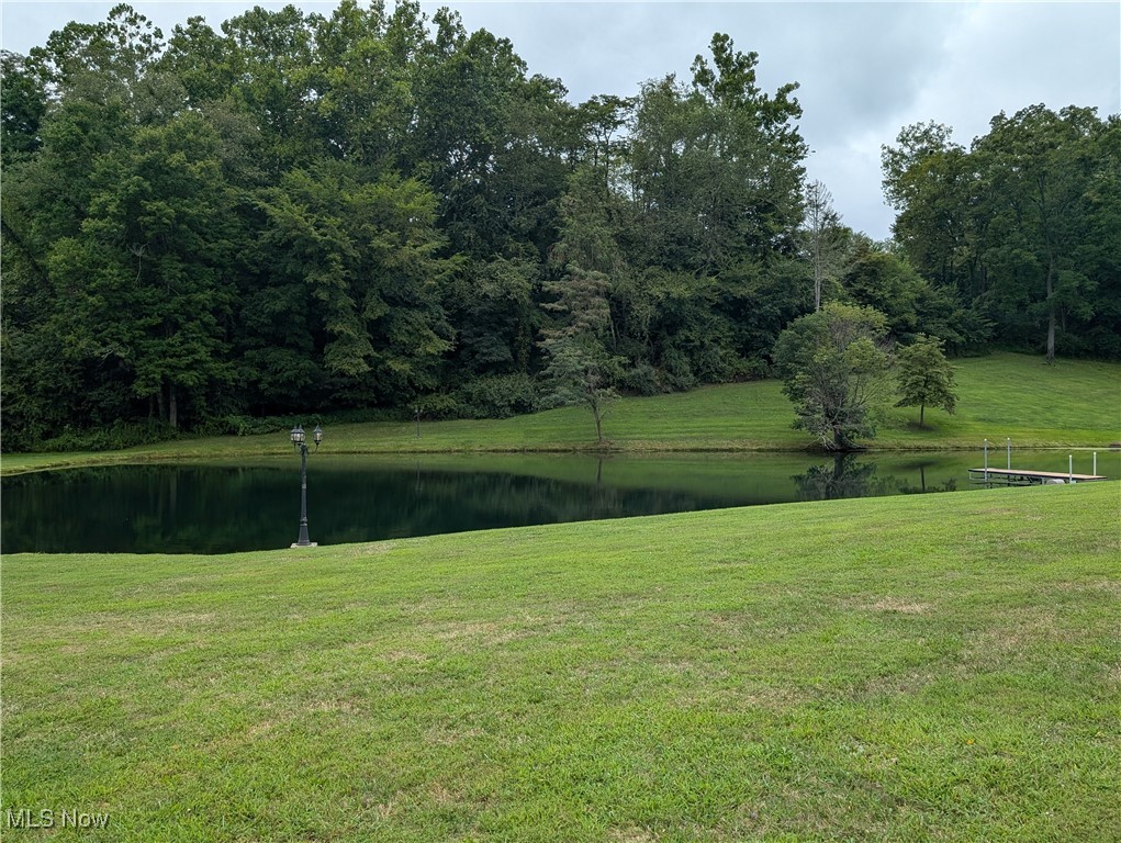 46136 Carlisle Road Lisbon, OH 44432 - Photo 7 of 48 View of yard with a water view