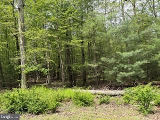 30 Hirschmann Road Biglerville, PA 17307 - Photo 1 of 3 Gallery Image 1