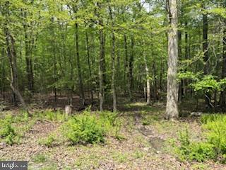 30 Hirschmann Road Biglerville, PA 17307 - Photo 2 of 3 Gallery Image 2