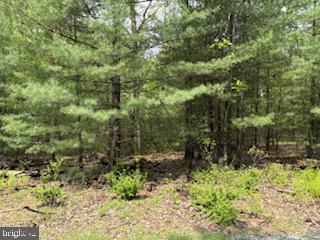 30 Hirschmann Road Biglerville, PA 17307 - Photo 3 of 3 Gallery Image 3