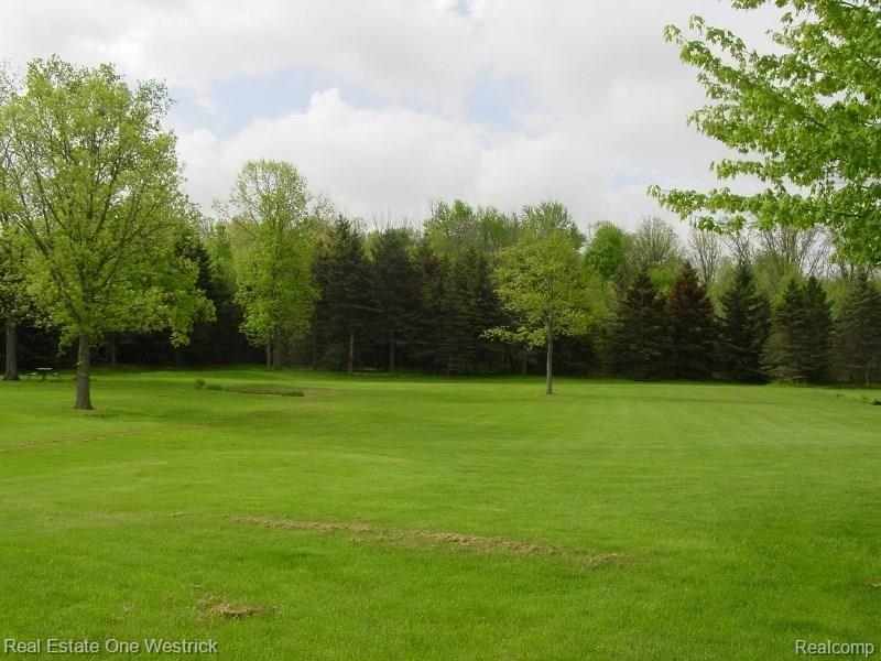 8393 Yale Road Avoca, MI 48006 - Photo 31 of 36