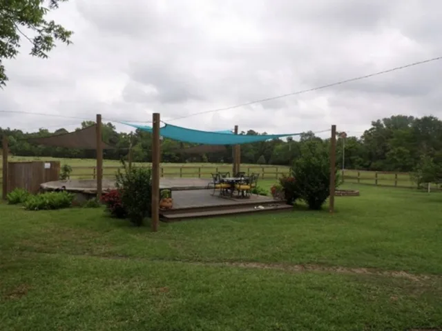 a room with furniture and a potted plant