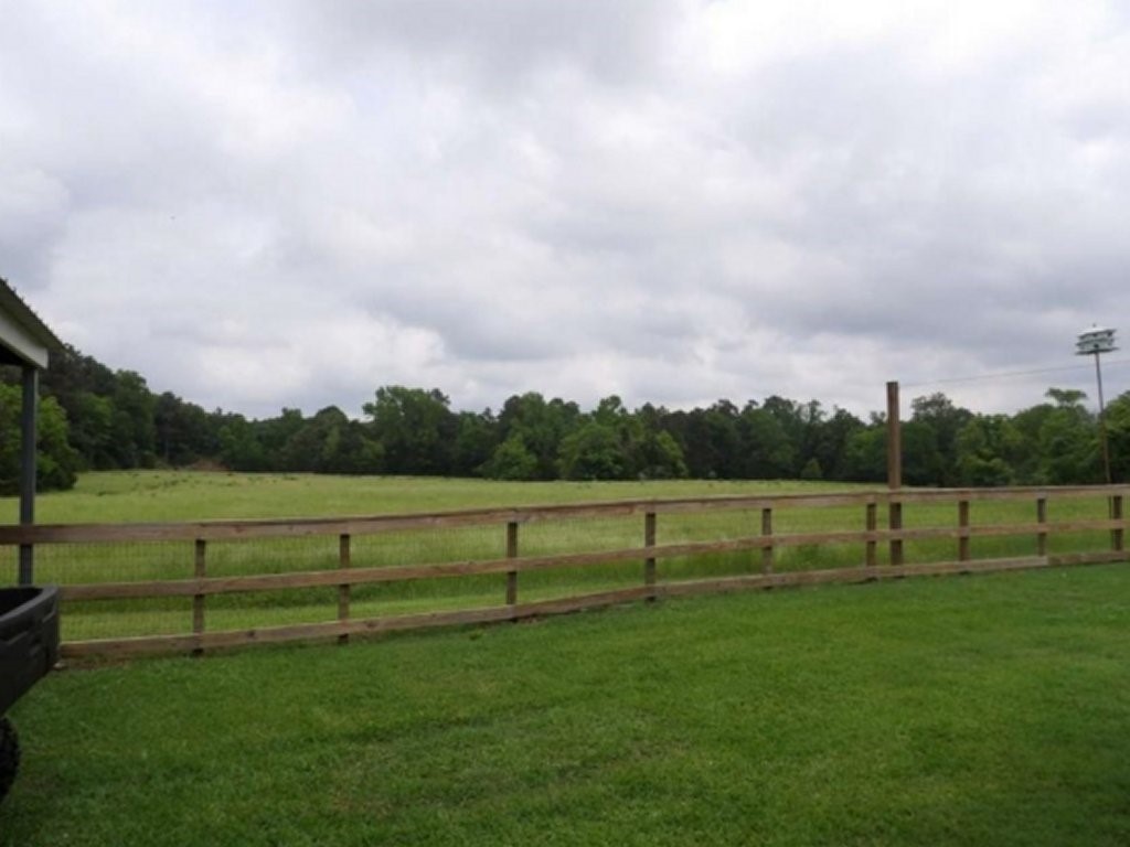 198 Fm 2974 Rd Center Center, TX 75935 - Photo 20 of 50 a view of outdoor space with green field and trees