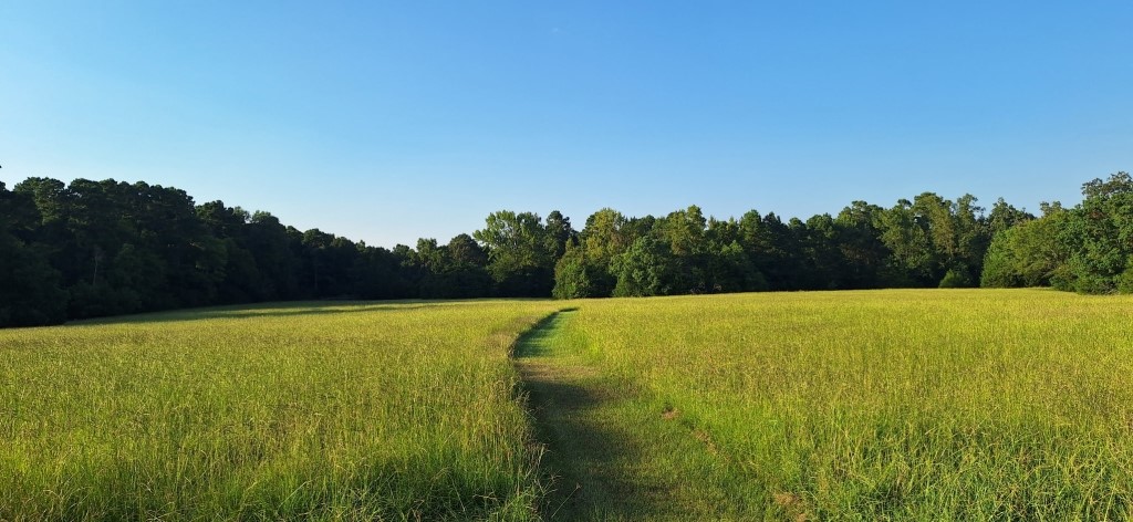 198 Fm 2974 Rd Center Center, TX 75935 - Photo 2 of 50 a view of outdoor space and yard