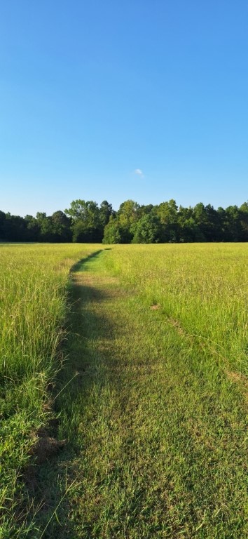 198 Fm 2974 Rd Center Center, TX 75935 - Photo 4 of 50 a view of an ocean from a mountain