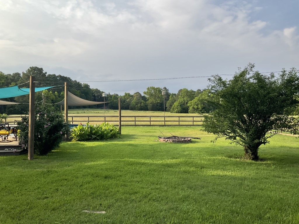 198 Fm 2974 Rd Center Center, TX 75935 - Photo 48 of 50 a view of a park