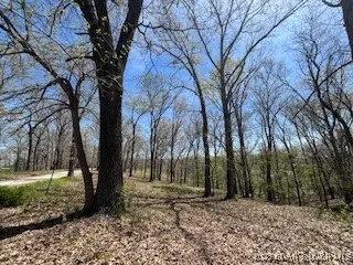 $775,945 | Gravois Arm) Gravois Arm) Timber Ridge Estates, Barnett, MO 65011