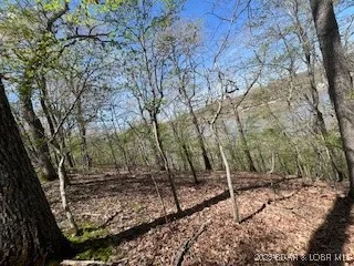 $775,945 | Gravois Arm) Gravois Arm) Timber Ridge Estates, Barnett, MO 65011