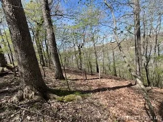 $775,945 | Gravois Arm) Gravois Arm) Timber Ridge Estates, Barnett, MO 65011