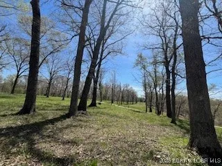 $699,000 | Gravois Arm) Gravois Arm) Timber Ridge Estates, Barnett, MO 65011