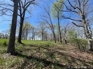 $699,000 | Gravois Arm) Gravois Arm) Timber Ridge Estates, Barnett, MO 65011