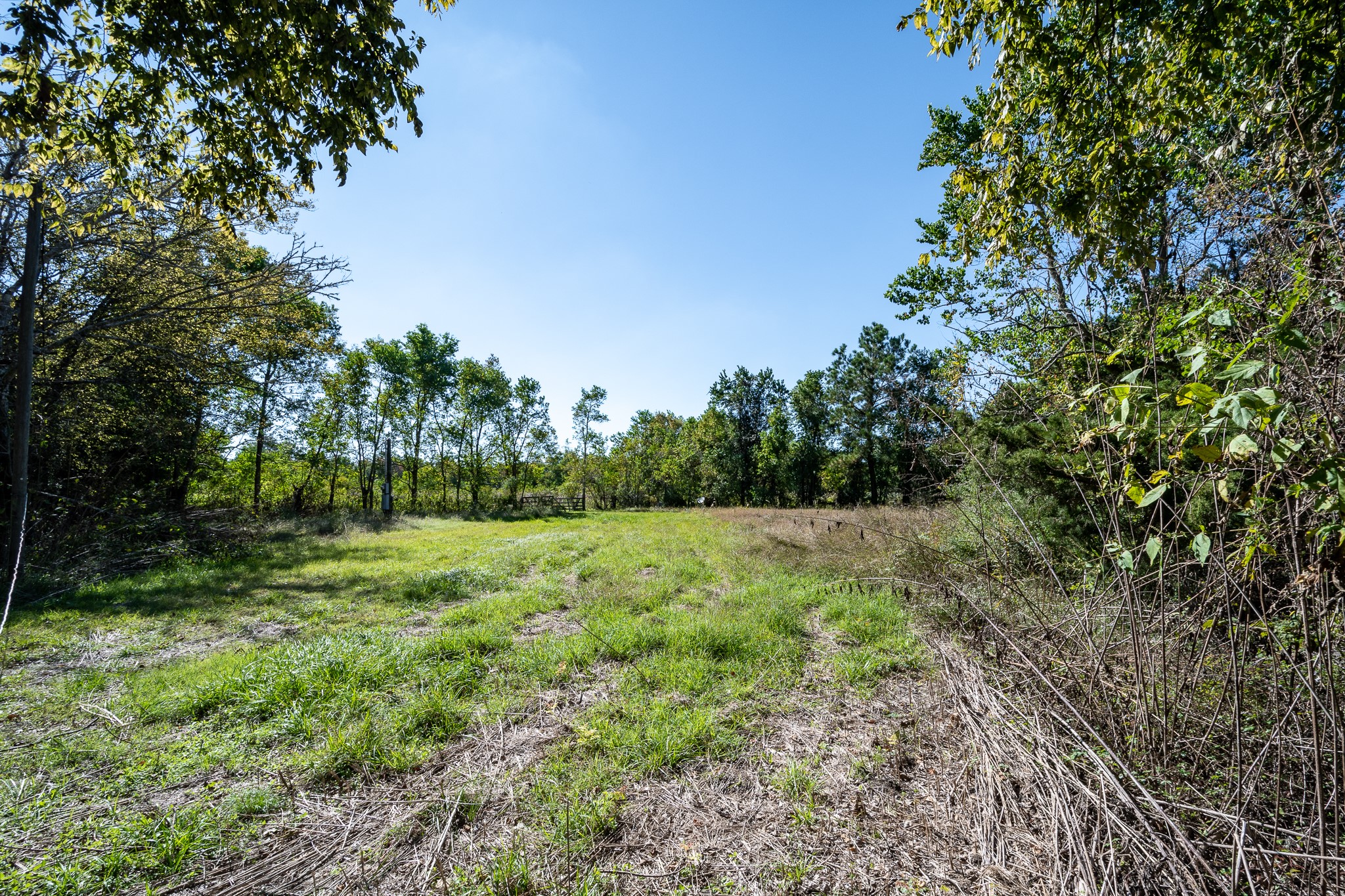 5610 South Farm-to-Market 565 Road Baytown, TX 77523 - Photo 18 of 20 a view of outdoor space and yard